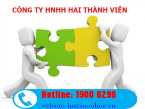 Đặc điểm của công ty TNHH 2 thành viên