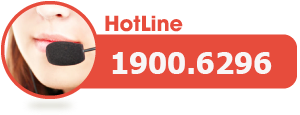 Hotline 1900.6296