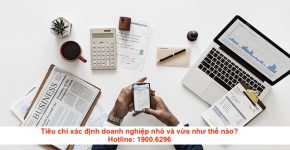 Tiêu chí xác định doanh nghiệp nhỏ và vừa như thế nào?