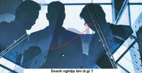Doanh nghiệp lớn là gì ?