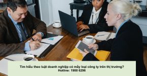 Tìm hiểu theo luật doanh nghiệp có mấy loại công ty trên thị trường?