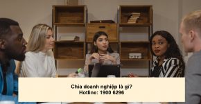 Chia doanh nghiệp là gì?