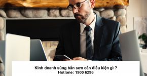 Kinh doanh súng bắn sơn cần điều kiện gì ?