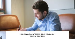 Đặc điểm công ty TNHH 2 thành viên trở lên