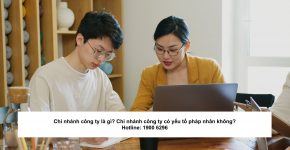Chi nhánh công ty là gì? Chi nhánh công ty có yếu tố pháp nhân không?
