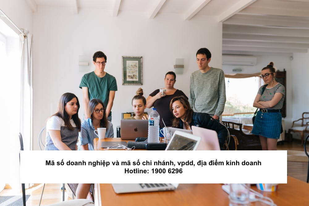 Mã số doanh nghiệp và mã số chi nhánh, vpdd, địa điểm kinh doanh