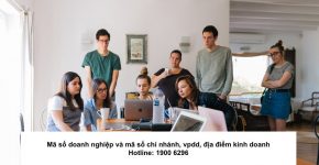 Mã số doanh nghiệp và mã số chi nhánh, vpdd, địa điểm kinh doanh